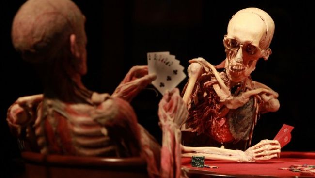 İnsan vücudunu ne kadar iyi tanıyorsun? Kendini test&nbsp;et.