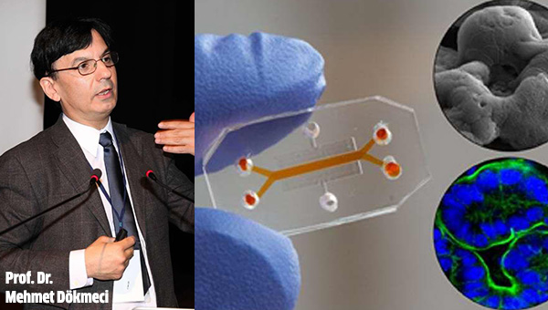 Türk Profesörden Hayvanları Denek Olmaktan Kurtaracak&nbsp;Buluş!