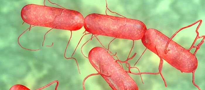 Bakteriden “beyin tümörünü yok eden silahlar”&nbsp;geliştirildi