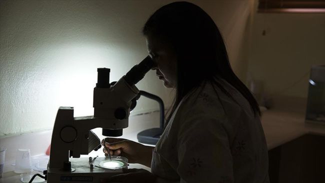 Zika virüsünün tedavisi için ilk adımlar&nbsp;atıldı