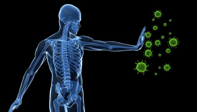 Bağışıklık sistemimiz nasıl&nbsp;çalışır?