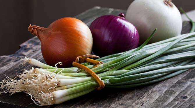 Soğan Niçin Ağlatır?