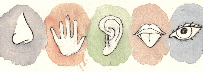 Gerçekten 5 duyunuz mu&nbsp;var?