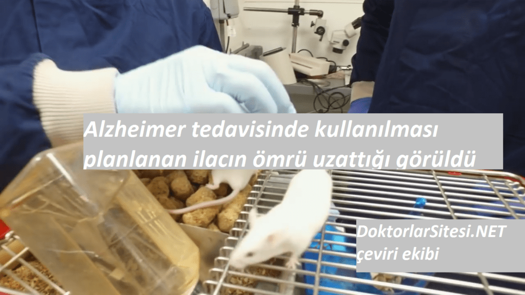 Alzheimer tedavisinde kullanılması planlanan ilacın ömrü uzattığı&nbsp;görüldü