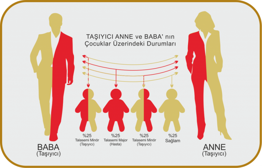 Talasemi en çok Demir Eksikliği Anemisi ile&nbsp;karıştırılıyor!