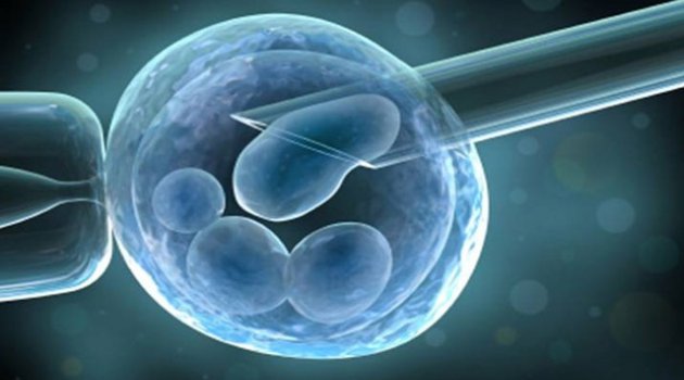 Çinliler, Bir Kez Daha İnsan Embriyosunun Genetiğini&nbsp;Değiştirdi