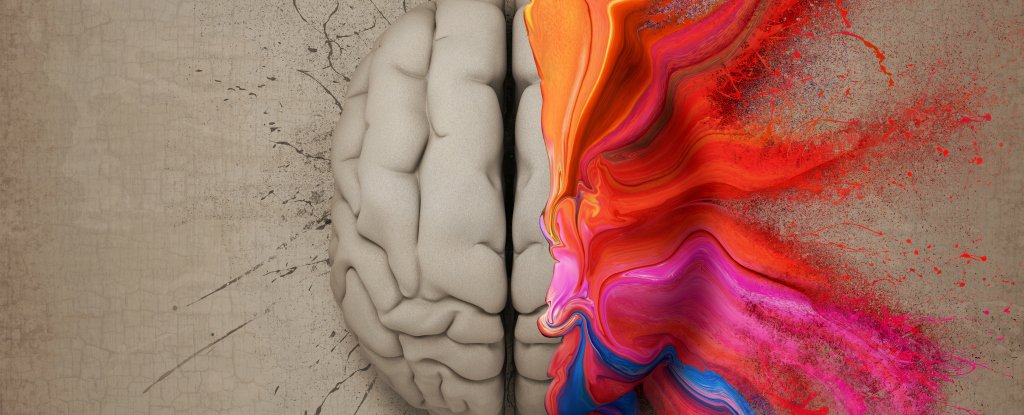 Sağ ya da Sol Elinizi kullanmanızın sebebi hakkında yanılıyor&nbsp;olabiliriz!