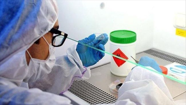 Ebola insanlara kolayca bulaşacak şekilde mutasyon&nbsp;geçirdi