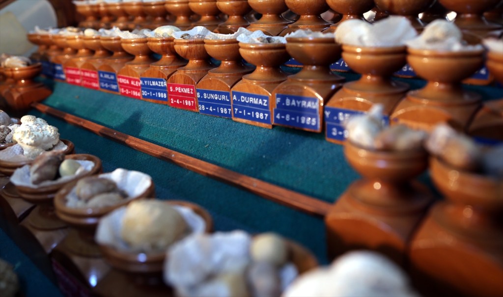 Üroloji Uzmanı İzzetin Zan