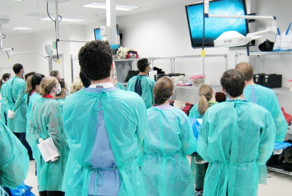 Türk Hekimler Yurt Dışına ‘Kaçıyor’! Son 7 Yılda Oran 15 Kat&nbsp;Arttı!