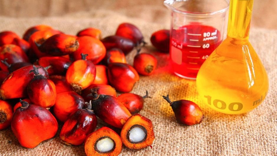 Diyetisyenden ‘Palm Yağı ve Diğer Rafine Yağlar’&nbsp;Yazısı