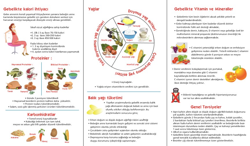Türkiye’nin ilk Gebelikte Beslenme Kılavuzu&nbsp;Hazırlandı