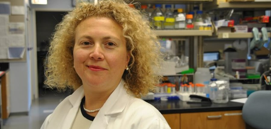 Annelik Üzerine Yazılmış En Güzel Yazılardan&nbsp;Biri