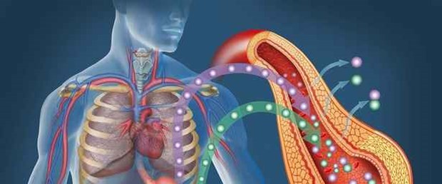 Mide kelepçesi yerine mide&nbsp;tüpü