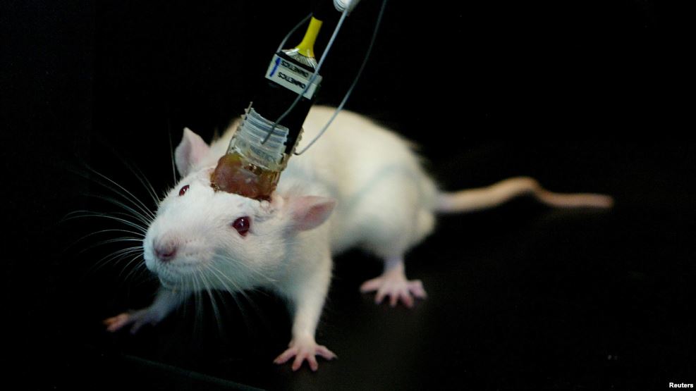 Alzheimer Tedavisinde Yeni&nbsp;Gelişme