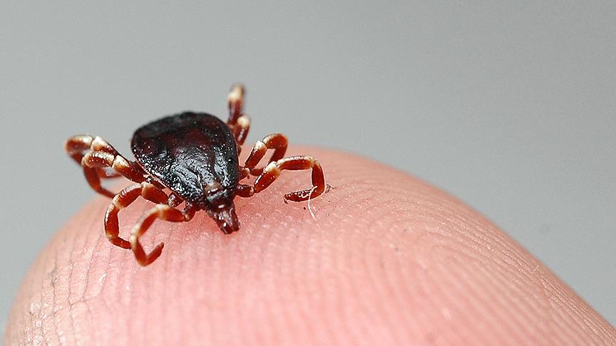 “Kırım Kongo Kanamalı Ateşi aşısında ilk patenti biz&nbsp;aldık”