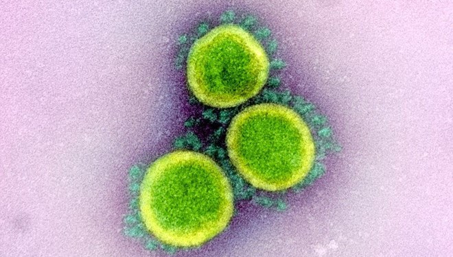 Virüsü izole eden Türk profesörden&nbsp;açıklama