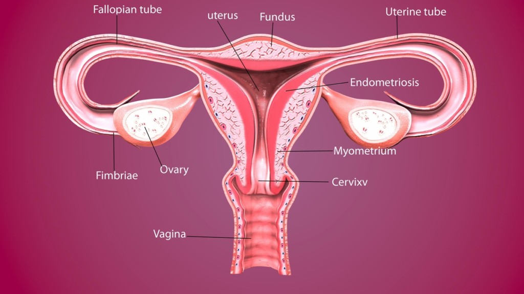 Rahim Ağzı Kanseri: Erken Tanı ve Önleme&nbsp;Yöntemleri