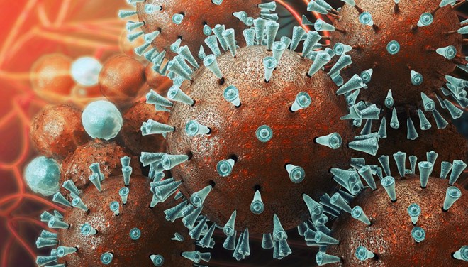 Bilim insanları koronavirüsün ilk mikroskop görüntülerini&nbsp;çekti