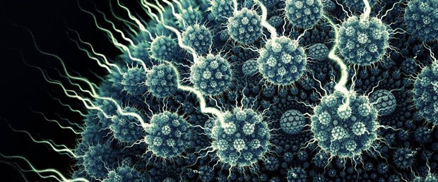 Virusların birbiriyle konuştuğu tespit&nbsp;edildi