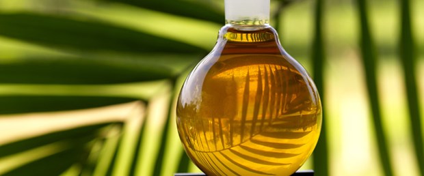Palm yağı nedir? Palm yağı kanserojen&nbsp;mi?