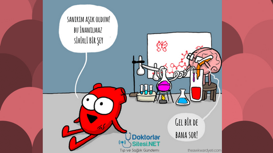 Aşk ve Çöpçatan Hormonlar&nbsp;[İnfografik]